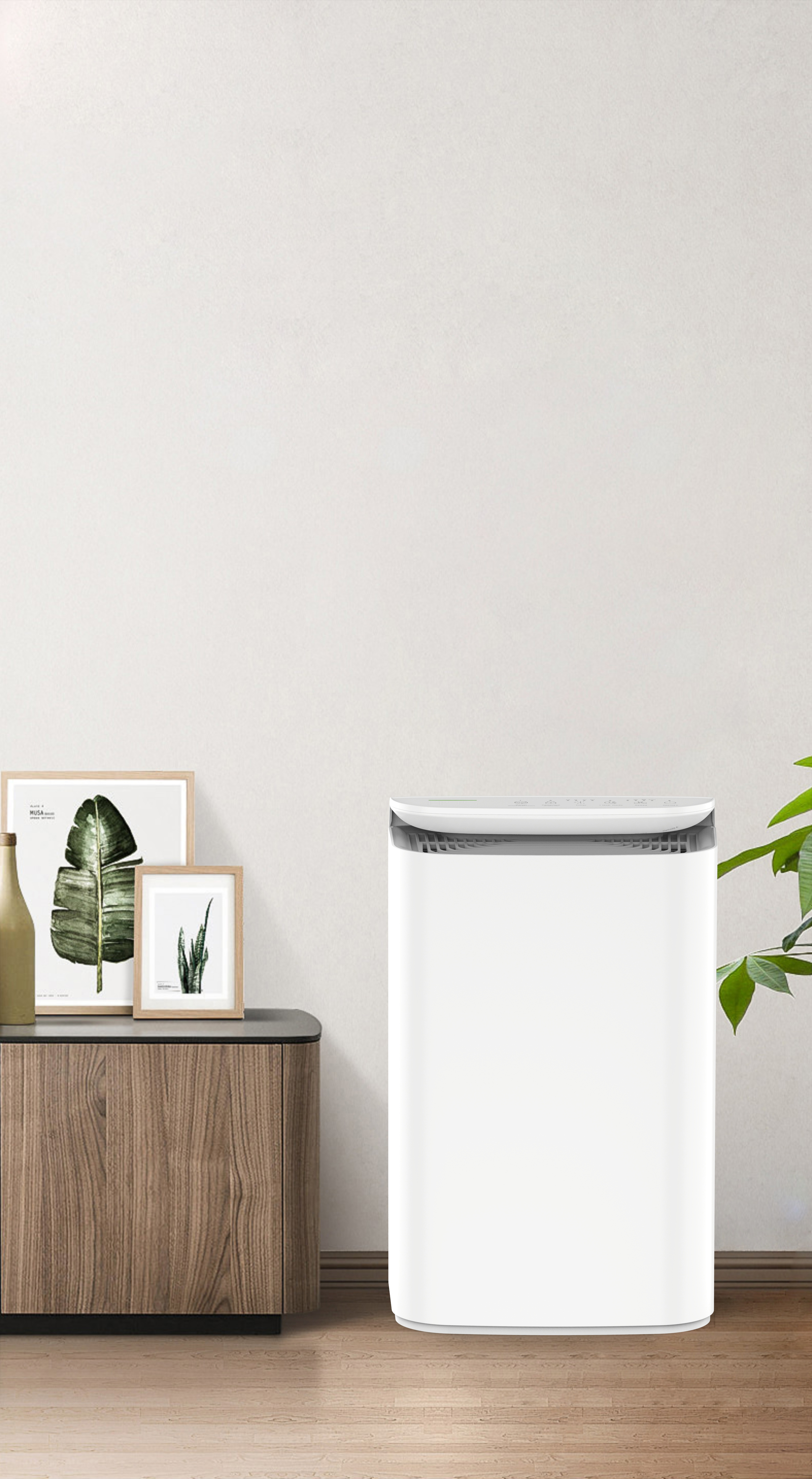 Ulepsz technologię anionową świeży oddech lasu BKJ-16B