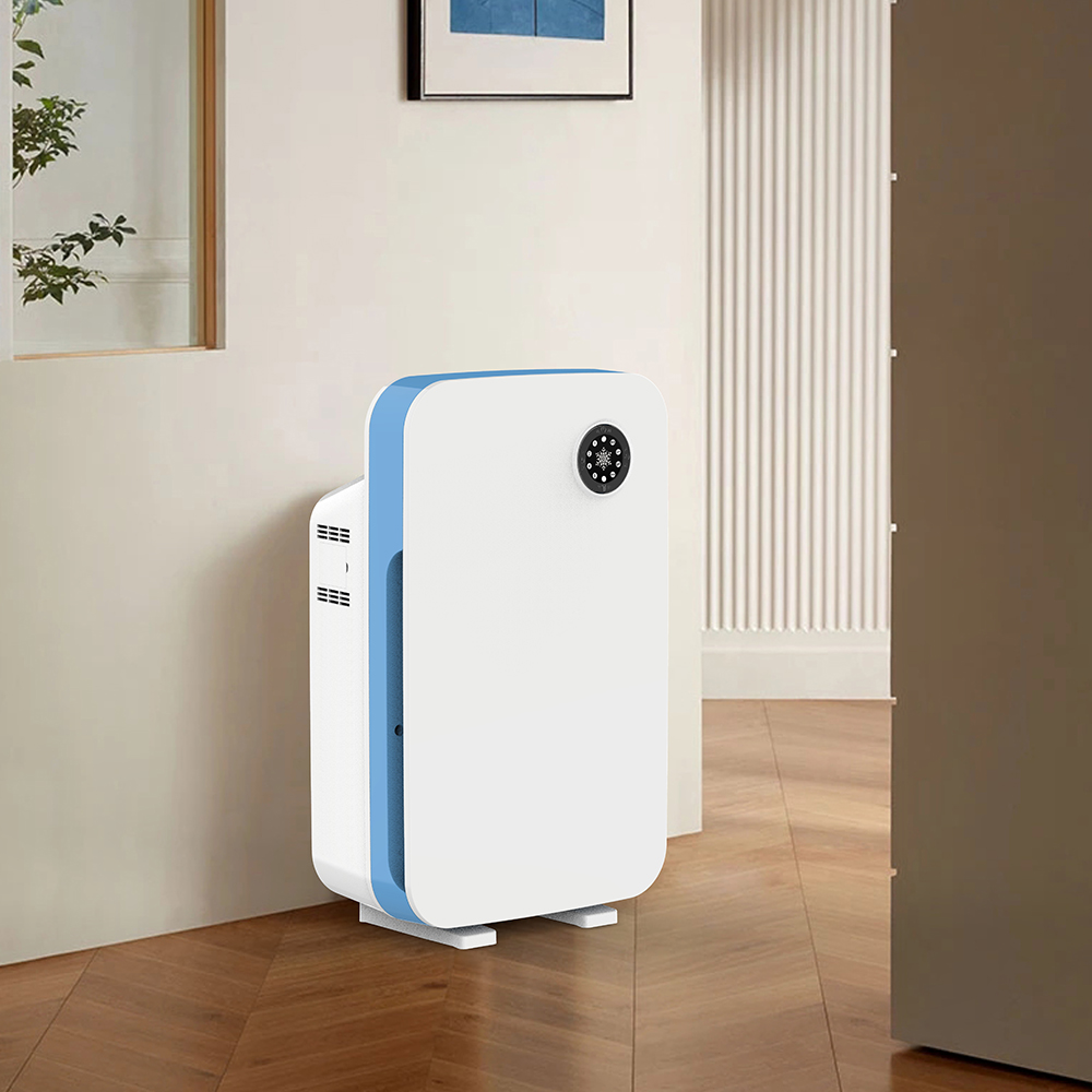 Usuń najlepiej formaldehyd, ciesz się świeżym powietrzem BK-02